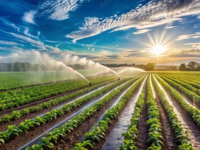 water-infrastructure-and-pump-specialist-5