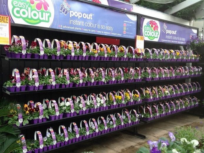 invest-and-grow-with-easy-colour-wholesale-nursery-5