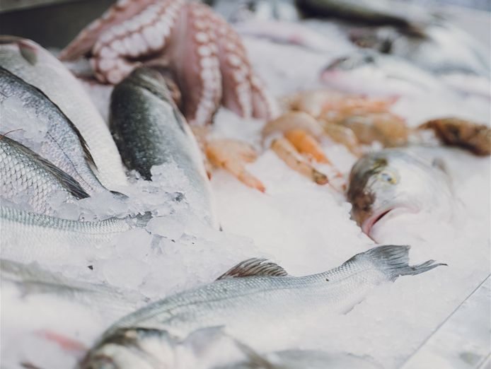 coming-soon-fresh-seafood-business-easy-to-run-1