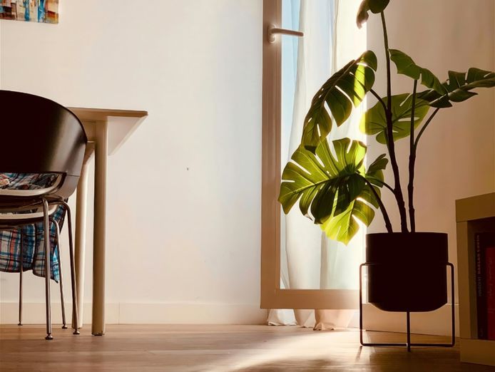 coming-soon-monday-friday-easy-to-run-business-1