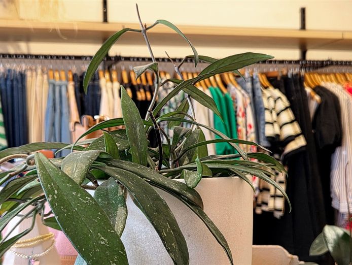 fashion-boutique-flexible-lifestyle-business-2