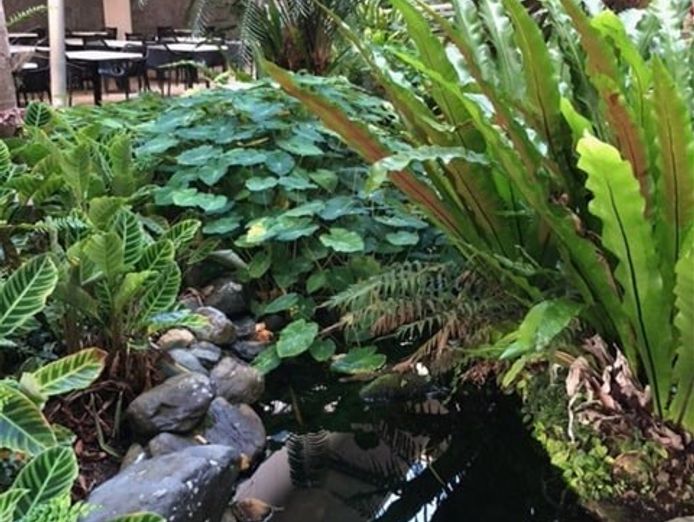 cairns-courtyard-cafe-2