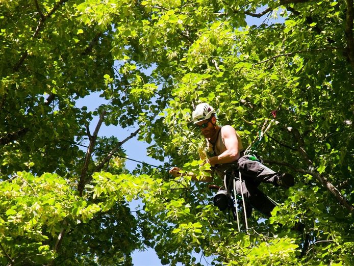 expand-your-reach-with-this-proven-arboriculture-operation-7