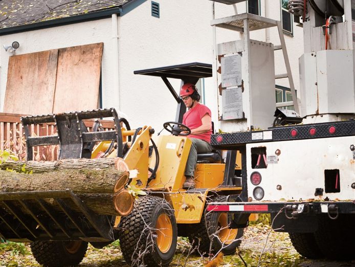 arborist-business-highly-profitable-3