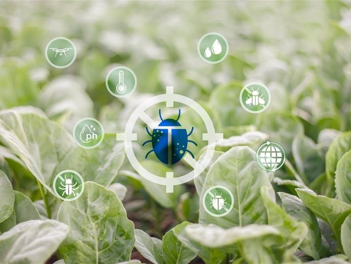 chemical-free-pest-control-manufacturer-amp-retailer-0