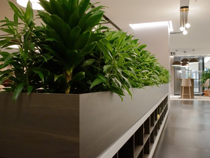 high-margin-plant-service-business-1