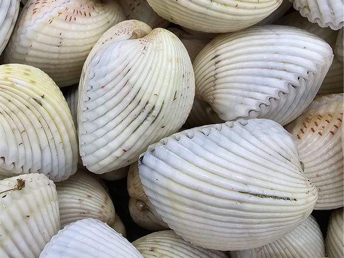fresh-seafood-business-profitable-3