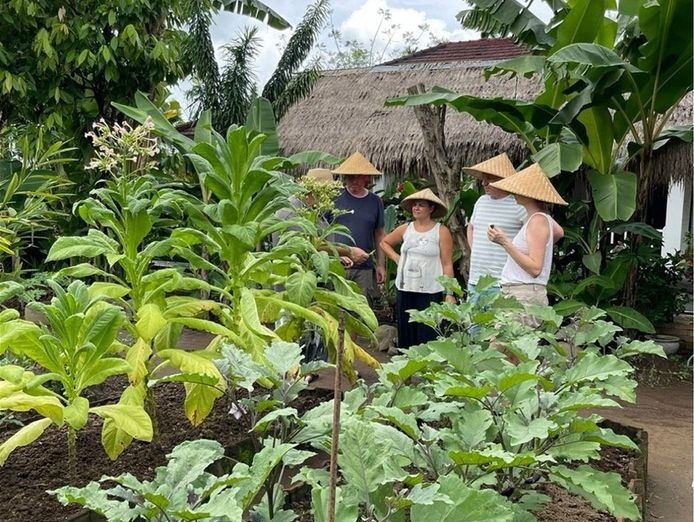 indonesian-eco-friendly-resort-small-amp-easy-to-operate-2