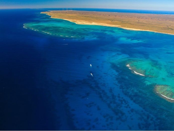 ningaloo-diving-business-wow-8