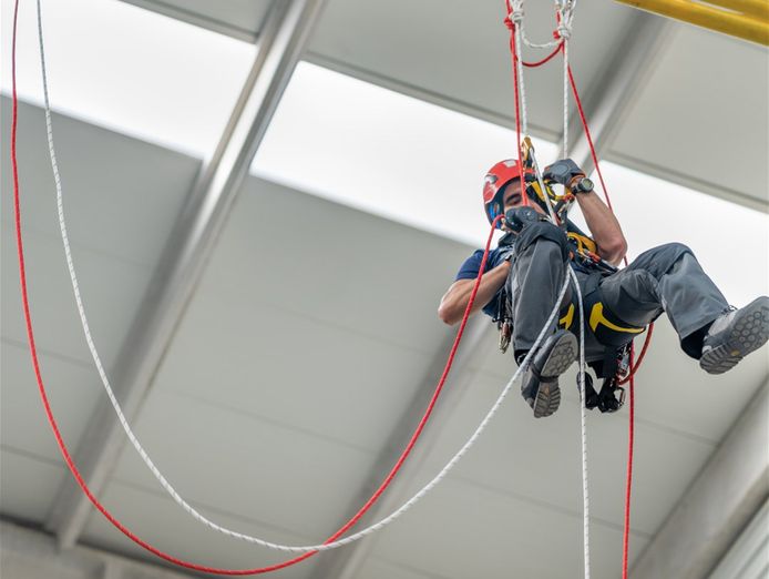 shelf-rto-ready-to-go-1