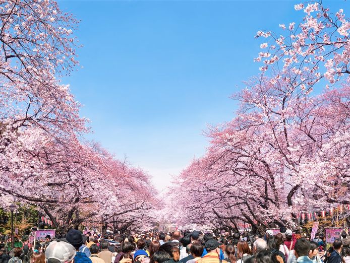 japan-specialist-travel-agency-1