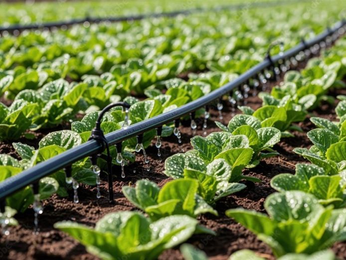 water-infrastructure-and-pump-specialist-2