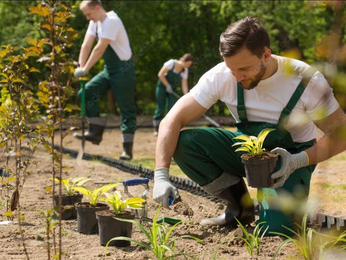 premium-landscaping-and-maintenance-business-strong-growth-0