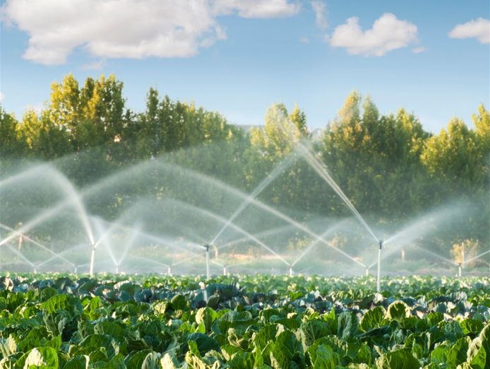 coming-soon-pump-irrigation-electrical-business-1