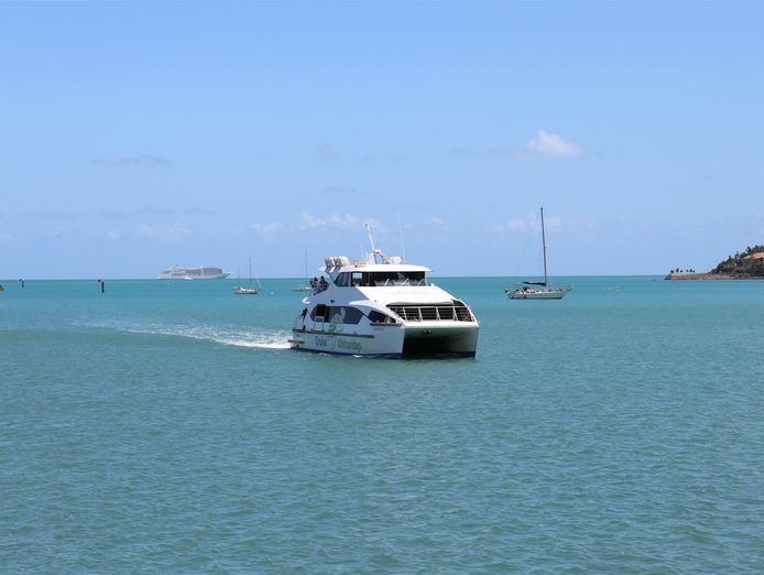 profitable-shed-supply-amp-installation-business-in-mackay-qld-3