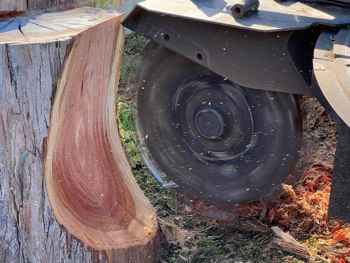 exceptional-opportunity-profitable-stump-grinding-1