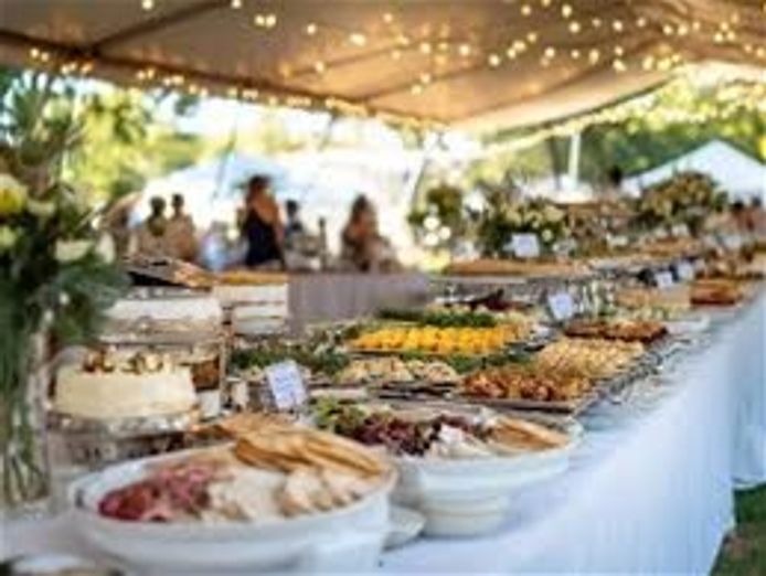 established-mobile-catering-franchise-340k-revenue-2