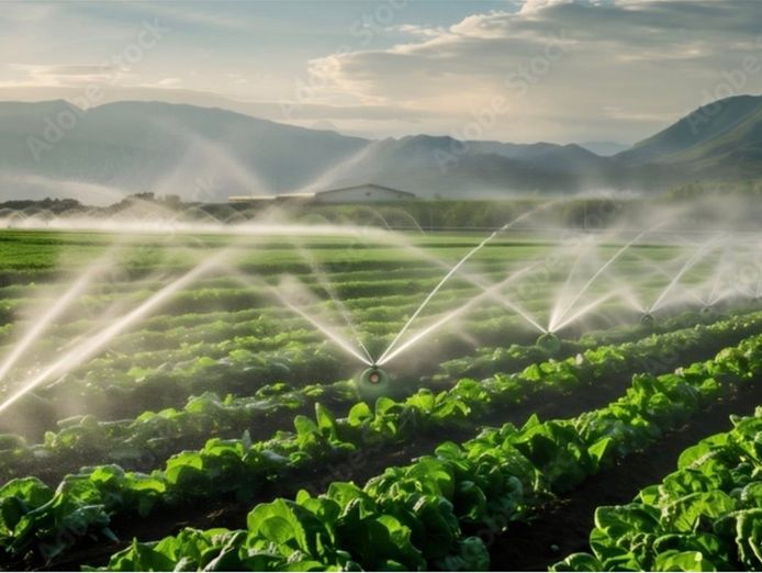 established-irrigation-and-pumping-business-3