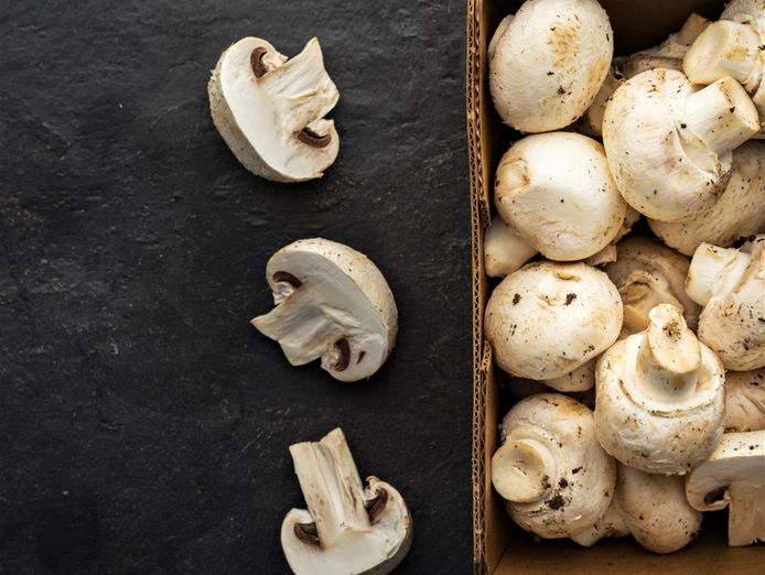 indoor-mushroom-farm-booming-industry-1