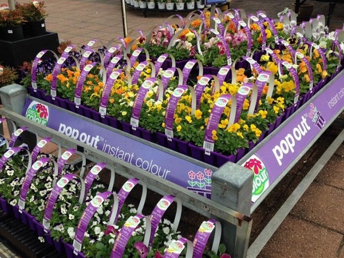 invest-and-grow-with-easy-colour-wholesale-nursery-6