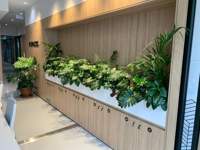 high-margin-plant-service-business-5