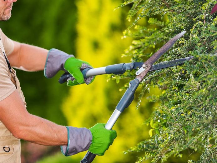 horticultural-garden-maintenance-business-0