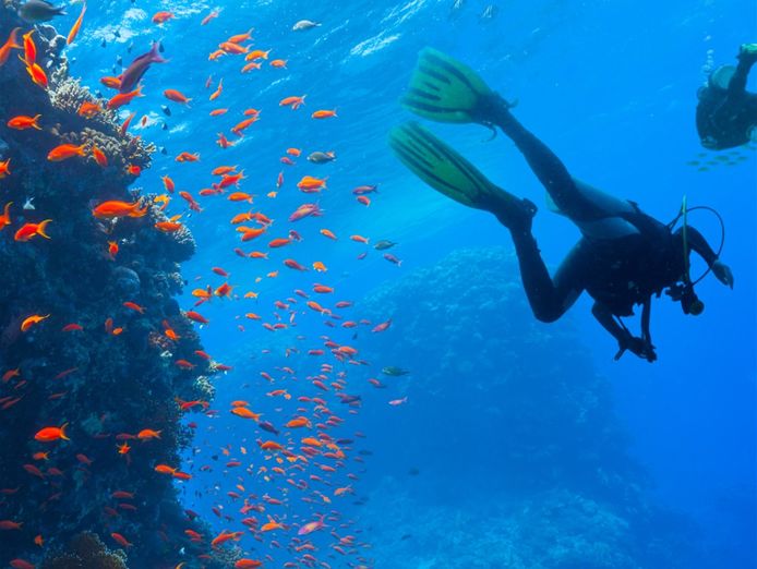 coming-soon-scuba-diving-business-bali-1