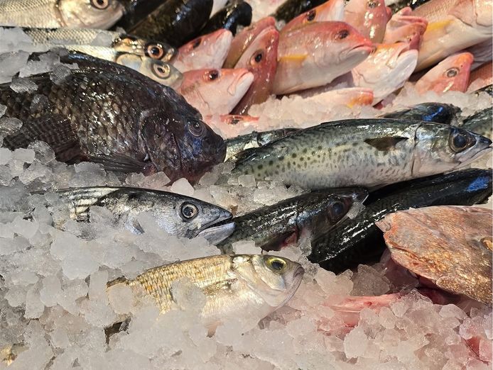 fresh-seafood-business-profitable-2