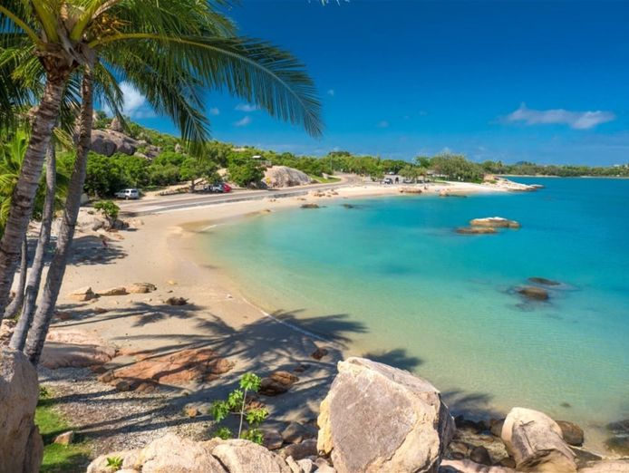 long-established-tree-services-business-coastal-lifestyle-0