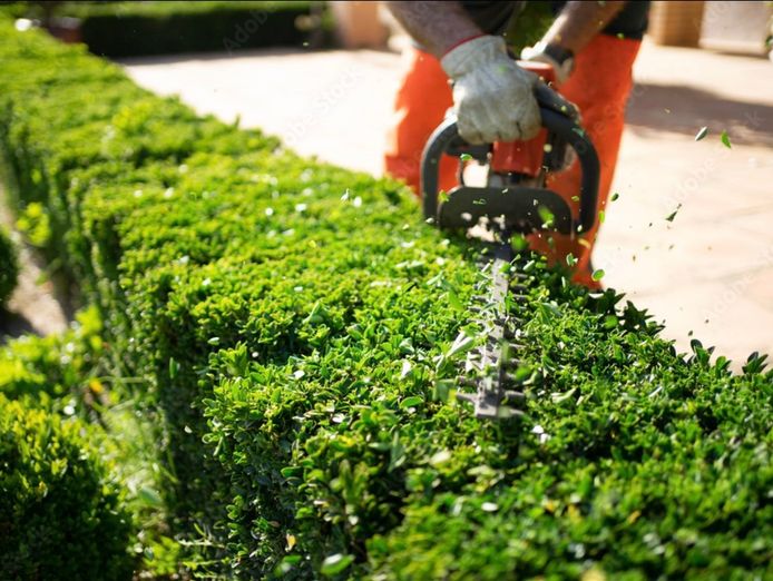 landscaping-business-recurring-revenue-strong-growth-6