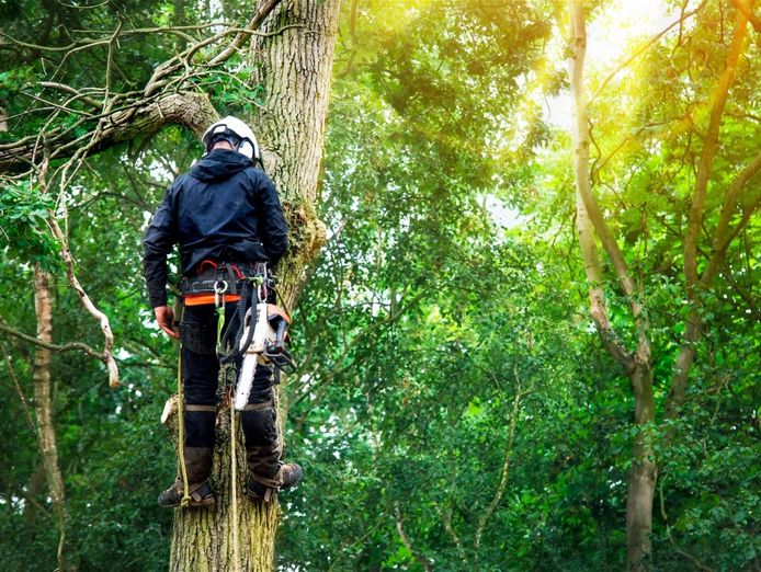 expand-your-reach-with-this-proven-arboriculture-operation-8