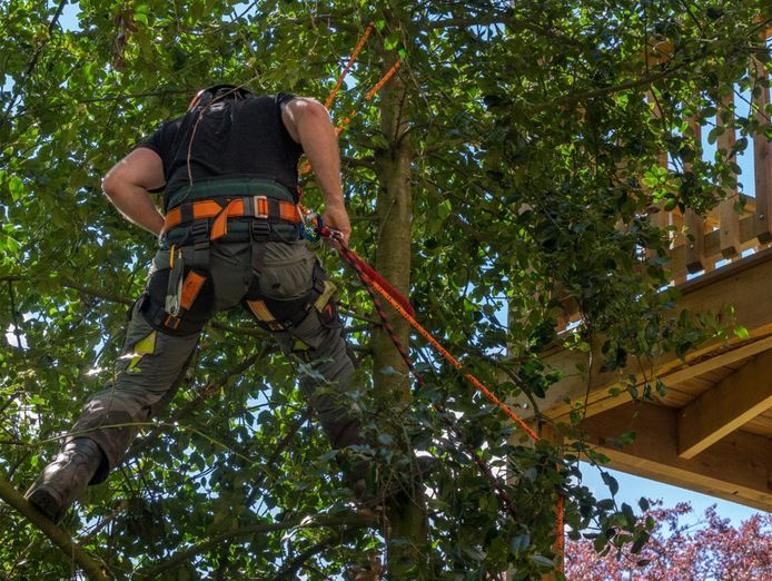 arborist-business-highly-profitable-0
