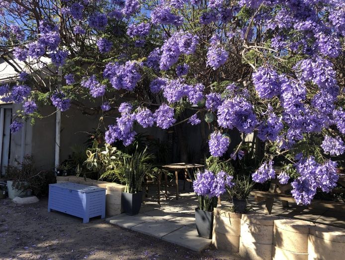backpacker-business-geraldton-freehold-also-available-2