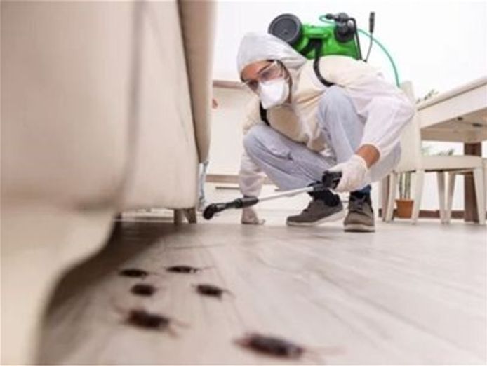highly-successful-carpet-cleaning-3