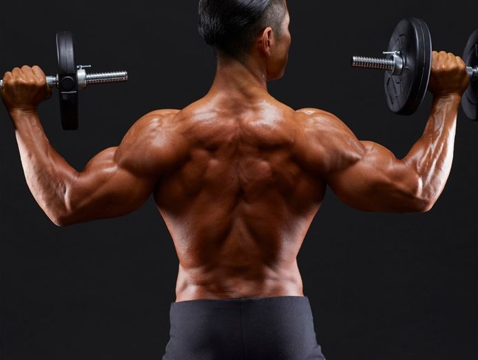 high-performance-gym-business-north-of-river-2