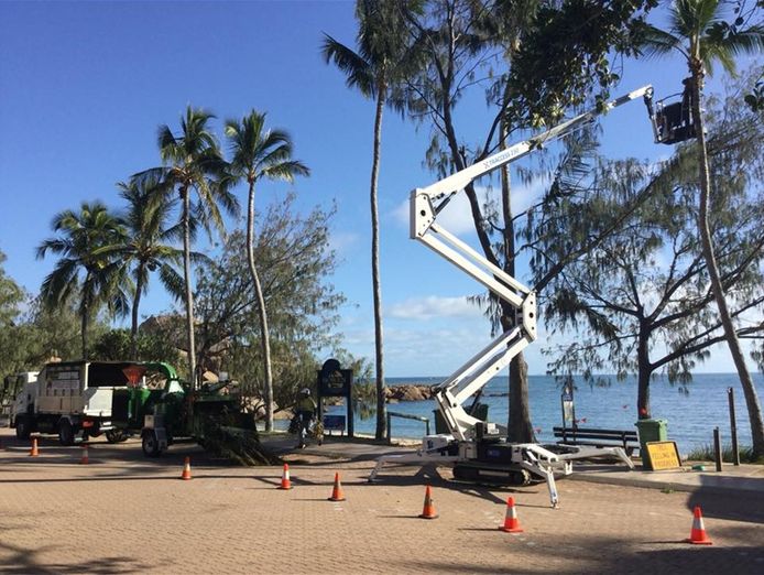 long-established-tree-services-business-coastal-lifestyle-7