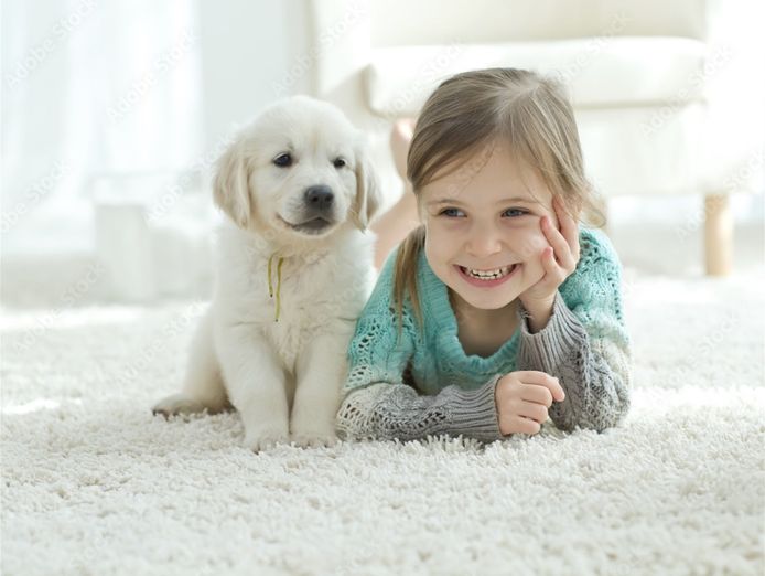 just-listed-branded-carpet-flooring-and-window-furnishing-7