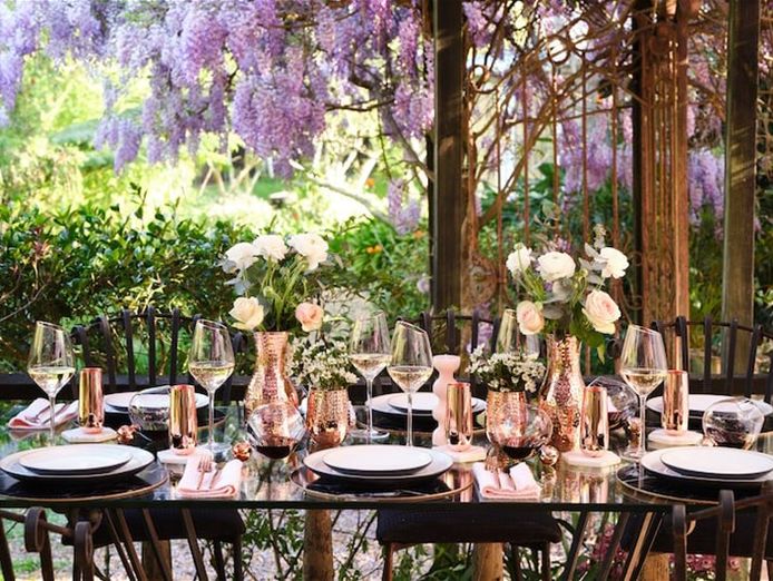 successful-established-brand-with-massive-potential-4