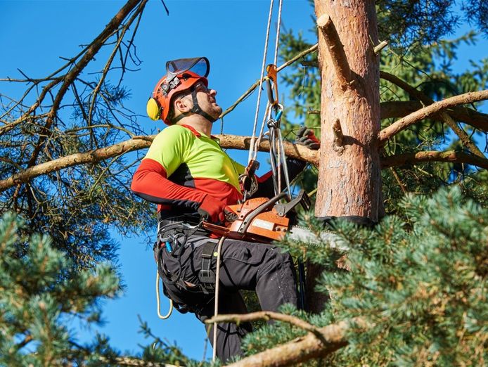 expand-your-reach-with-this-proven-arboriculture-operation-0