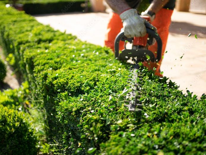 just-listed-established-lawn-garden-amp-landscaping-business-7