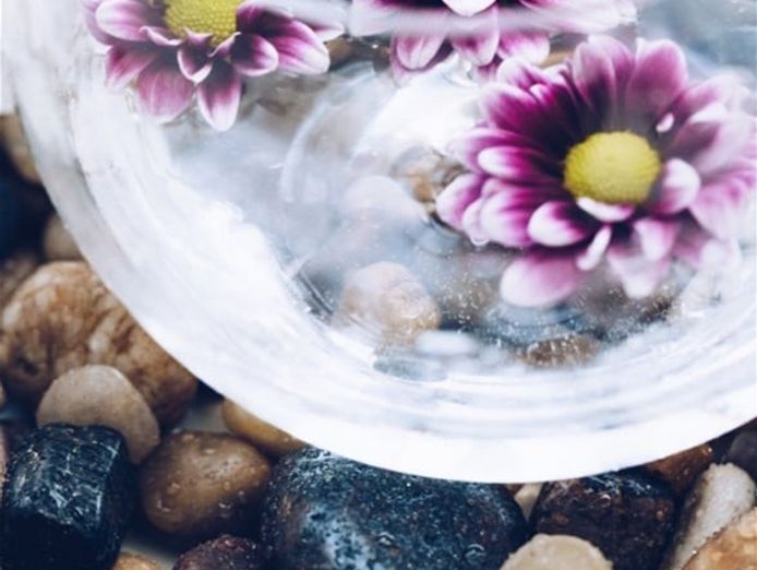 high-quality-retail-organics-supplies-busy-location-2