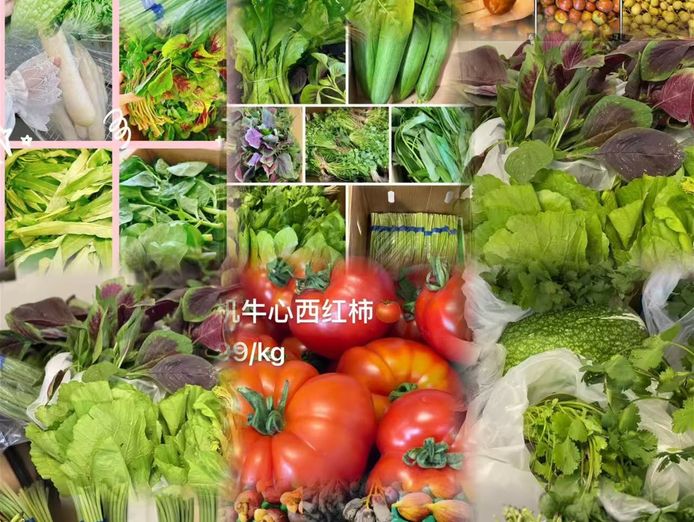 established-specialty-asian-grocer-revenue-420k-7