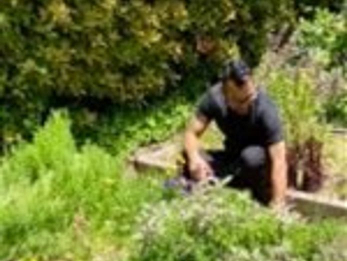 freehold-proven-hospitality-business-in-meander-valley-0