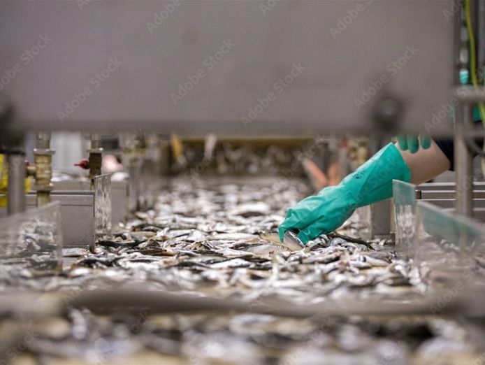 thriving-seafood-processing-business-established-clientele-1