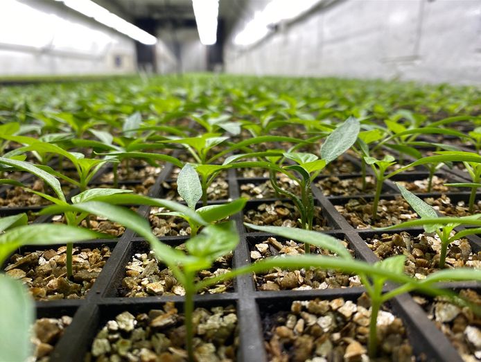 hydroponic-vegetable-crop-farm-land-buildings-amp-machinery-8