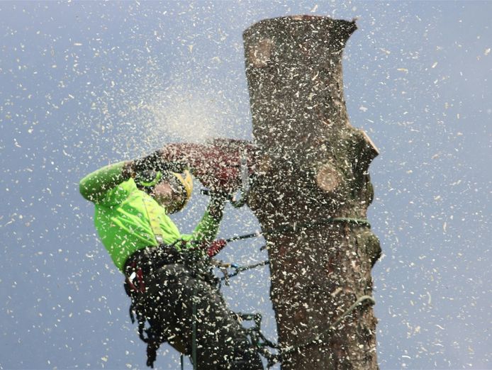 proven-arboriculture-business-with-management-potential-2