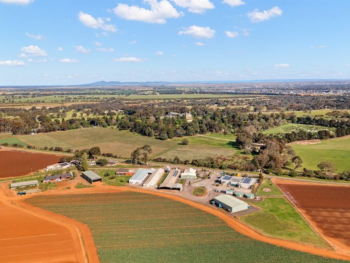 wholesale-production-business-agriculture-1m-owners-profit-0