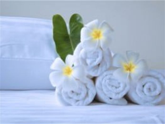 top-quality-commercial-cleaning-amp-laundry-business-2