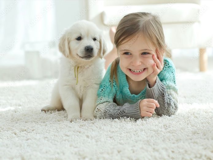 established-flooring-and-window-furnishings-business-mackay-9