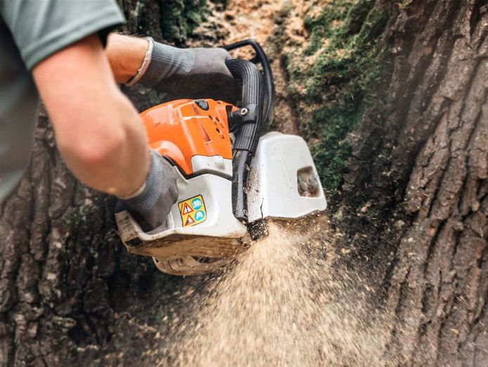 proven-arboriculture-business-with-management-potential-9
